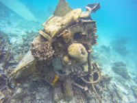 Japanese Fighter Plane in Ngchus Cove, Palau